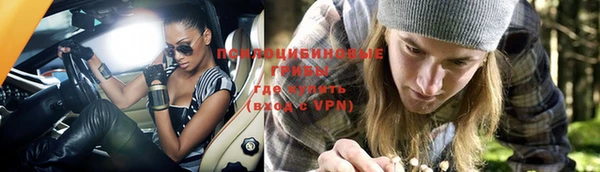 ПСИЛОЦИБИНОВЫЕ ГРИБЫ Верхнеуральск