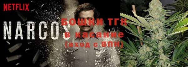 ПСИЛОЦИБИНОВЫЕ ГРИБЫ Верхнеуральск
