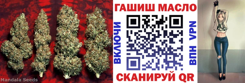 blacksprut рабочий сайт  Кочубеевское  Дистиллят ТГК THC oil 
